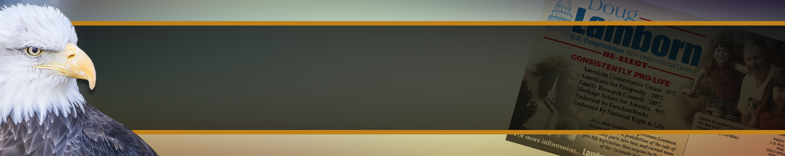 Political Mailers & Messaging