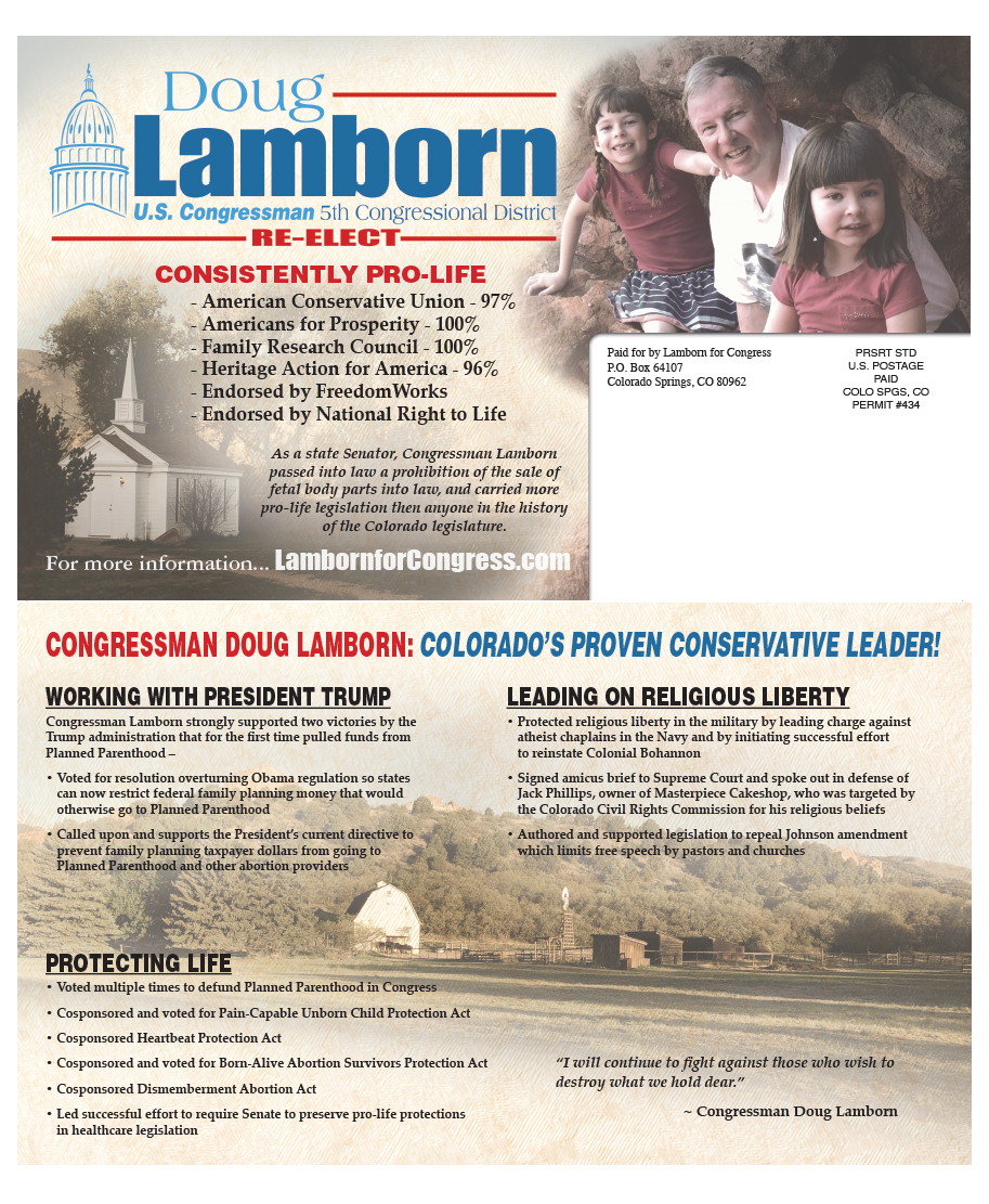 Political Mailer Image